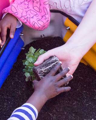 kids_planting_vegetable_garden